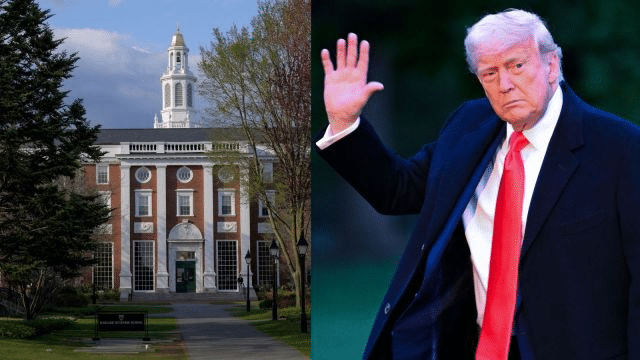 donald trump harvard